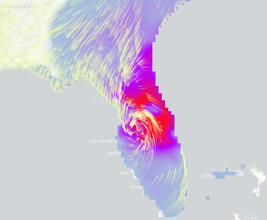 GIF animation of Irma